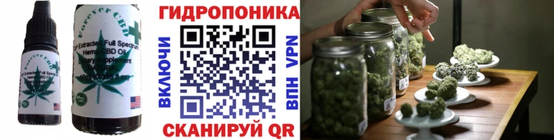 где купить наркотик  Ачинск  Еда ТГК марихуана 