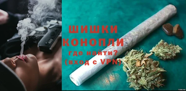 мдпв Рославль