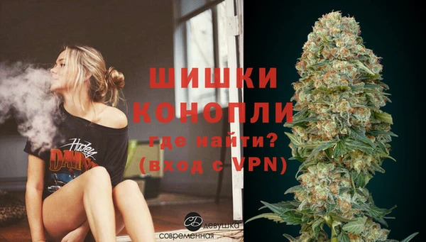 гидра Вязники