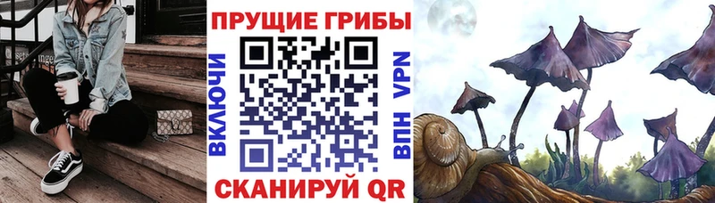 Галлюциногенные грибы прущие грибы  Ачинск 